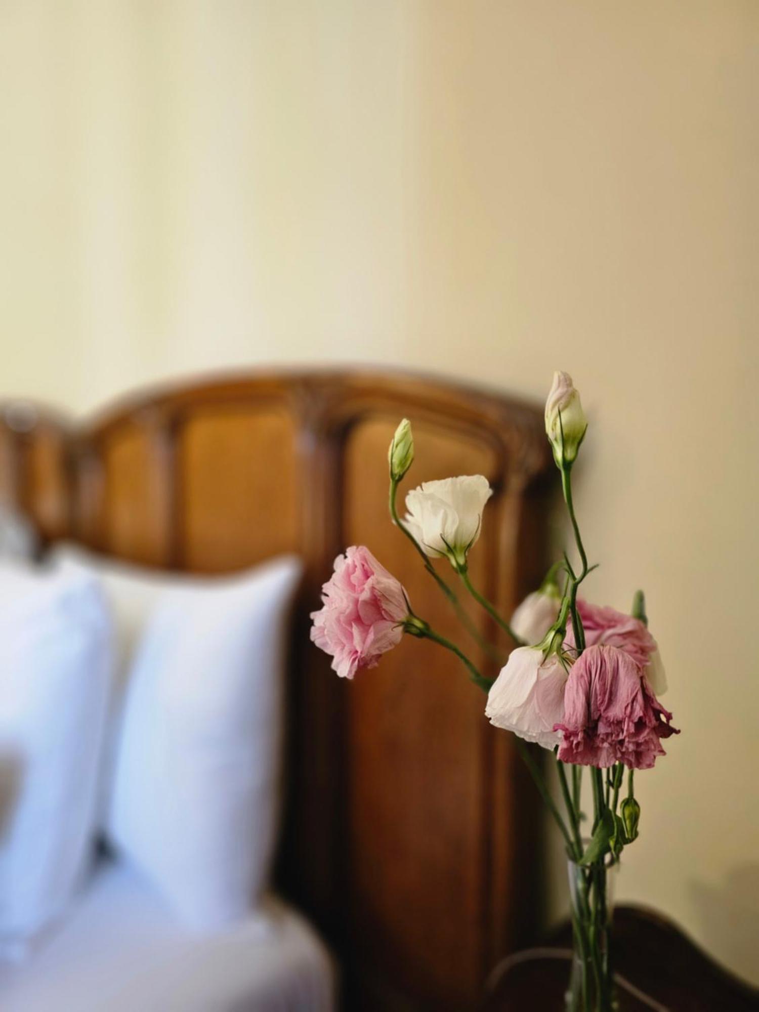 فندق Be Jardin Escondido By Coppola بوينس آيرس المظهر الخارجي الصورة